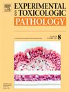 Experimental and Toxicologic Pathology