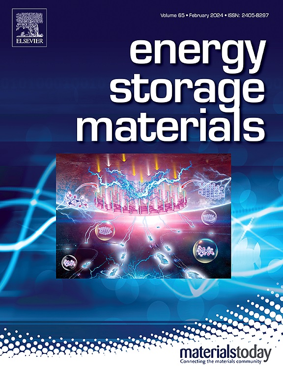 Energy Storage Materials