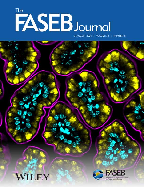 FASEB Journal