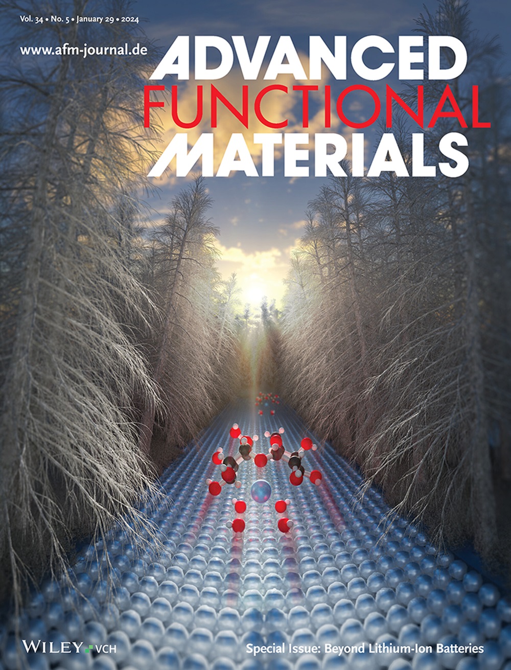 Advanced Functional Materials